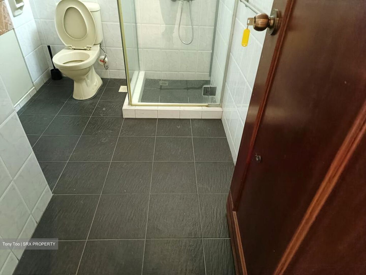 Parkshore (D15), Condominium #530298631